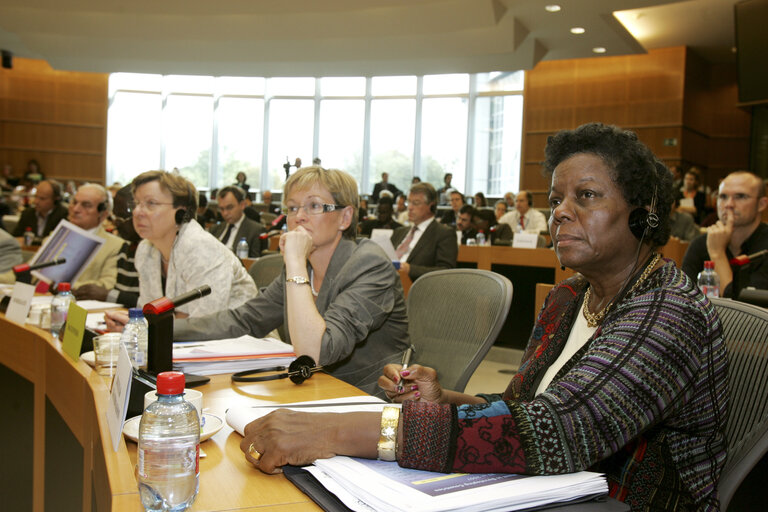 Fotografie 18: DEVE Committee special meeting on the world food crisis, with the Executive Director of the World Food Programme and the UN Food Agriculture Organisation Director.