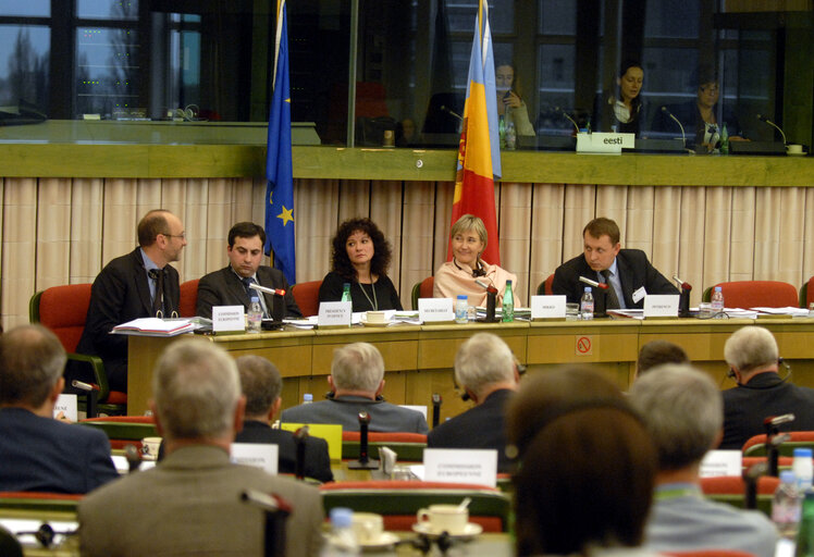 Nuotrauka 3: Meeting on EP - Moldavia parliamentary cooperation.