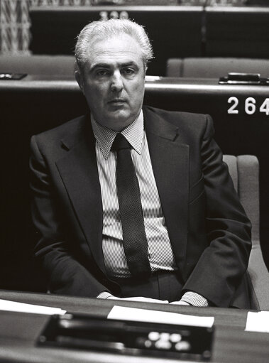 Plenary Session in Strasbourg in April 1981