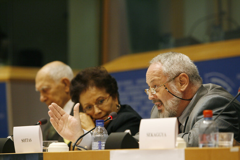 Foto 26: Joint conference of the EP, EC and UN on 60 years of the Universal Declaration of Human Rights: the defenders take the floor.