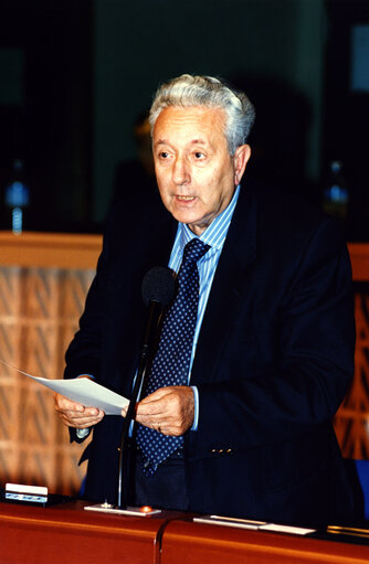 Giuseppe RAUTI in plenary session in Brussels