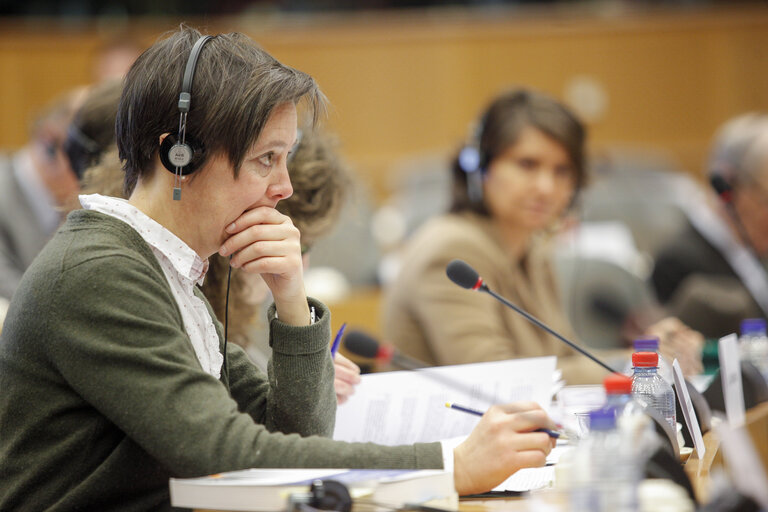 Photo 7: JURI Public hearning  EU Law on successions and the protection of vulnerble adults