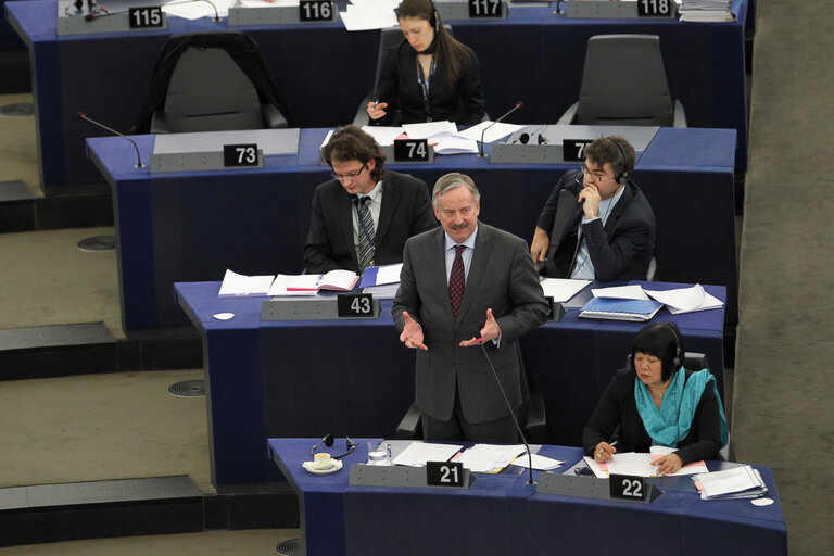 Plenary session week 09 2014 in Strasbourg - Joint debate - eCall