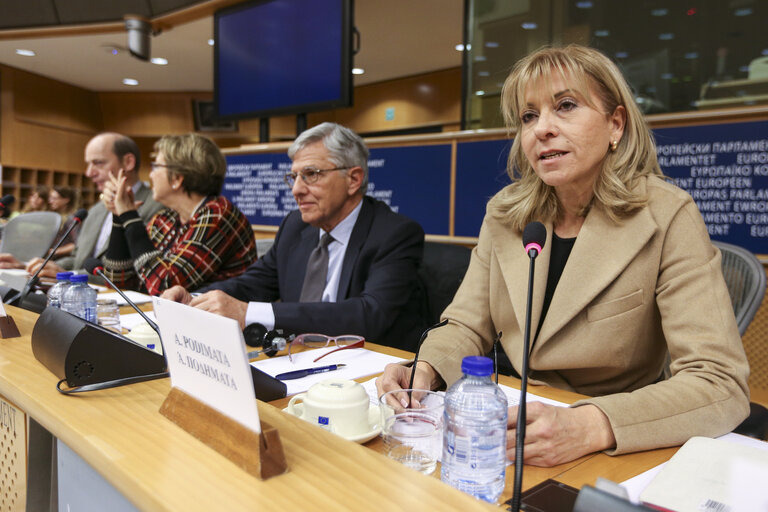 Photo 14: Dialogue Crisis management in Greece and Europe