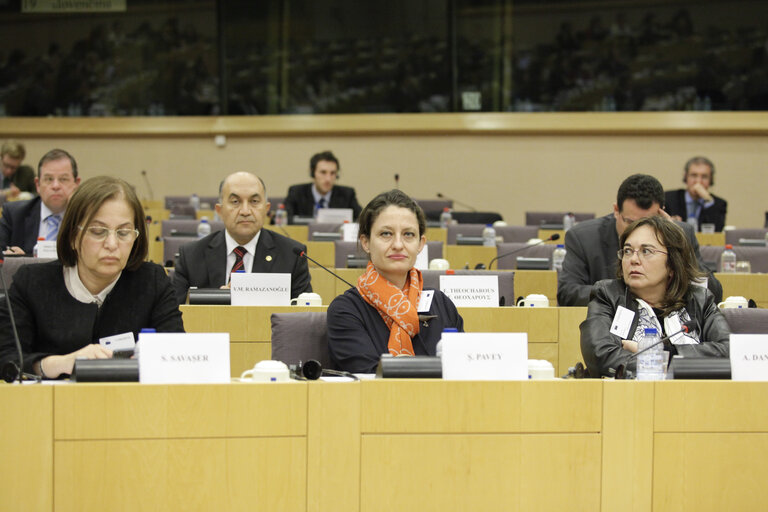 EU-Turkey Joint Parliamentary Committee