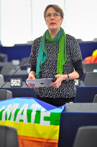 Plenary session week 09 2014 in Strasbourg - Consequences of adverse weather conditions in various Member States  Commission statement