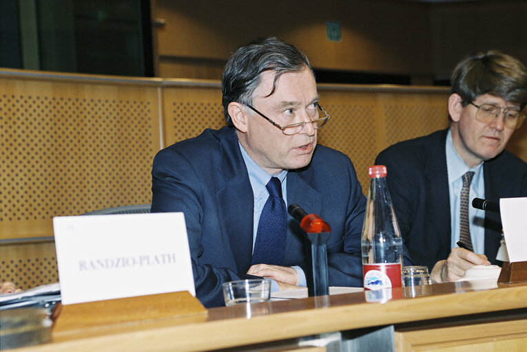 Fotografija 8: ECON Committee Meeting:  Discussion with the Director General of International Monetary Fund