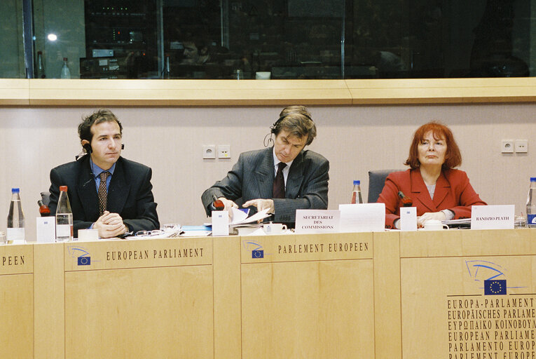 Photo 6 : ECON Committee - Public hearing on Supplementary Pensions