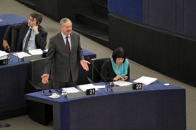 Plenary session week 09 2014 in Strasbourg - Joint debate - eCall