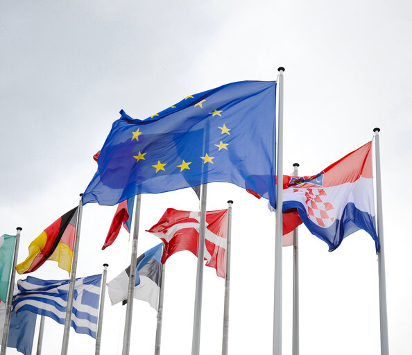 Fotografi 3: Flags in front of the European Parliament in Strasbourg