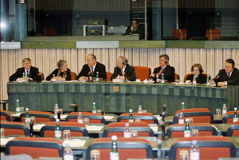 Fotografia 5: Meeting in the European Parliament in Strasbourg