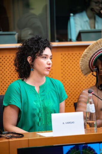 Billede 1: Event ' Indigenous tribes: the fragility of beauty. How to protect their rights in Brazil '