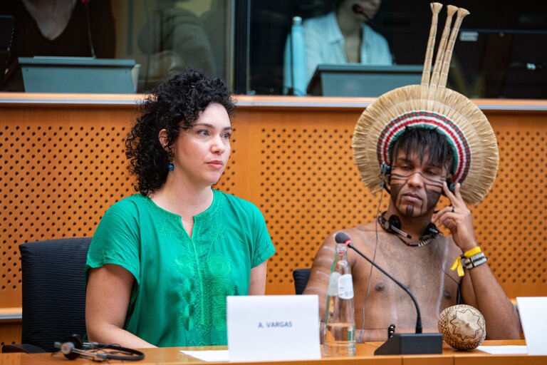 Event ' Indigenous tribes: the fragility of beauty. How to protect their rights in Brazil '