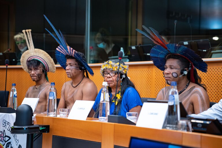 Billede 29: Event ' Indigenous tribes: the fragility of beauty. How to protect their rights in Brazil '