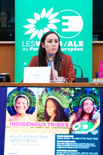 Billede 34: Event ' Indigenous tribes: the fragility of beauty. How to protect their rights in Brazil '