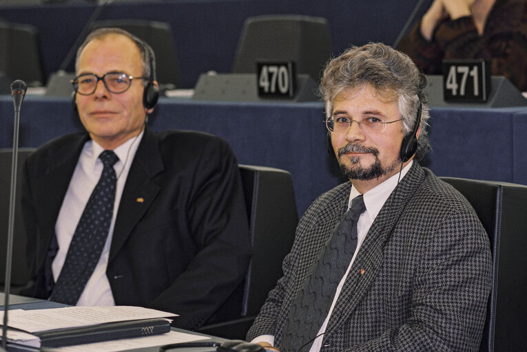 Plenary session in Strasbourg