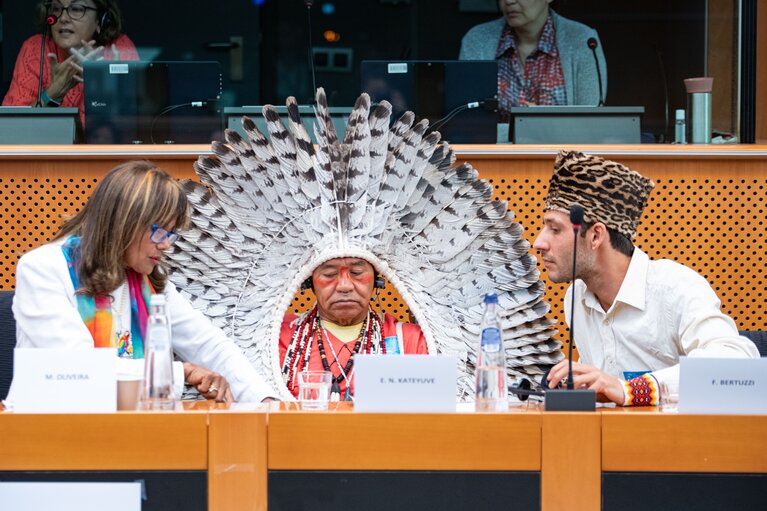 Billede 7: Event ' Indigenous tribes: the fragility of beauty. How to protect their rights in Brazil '