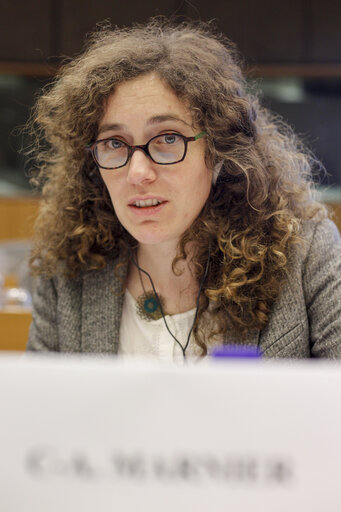 Photo 13: JURI Public hearning  EU Law on successions and the protection of vulnerble adults