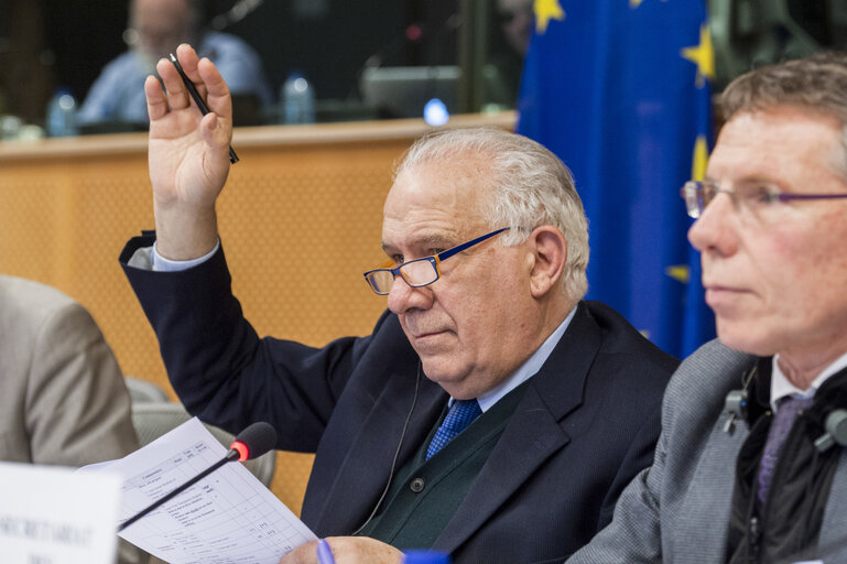 Valokuva 3: Members voting during the AFCO Committee meeting.