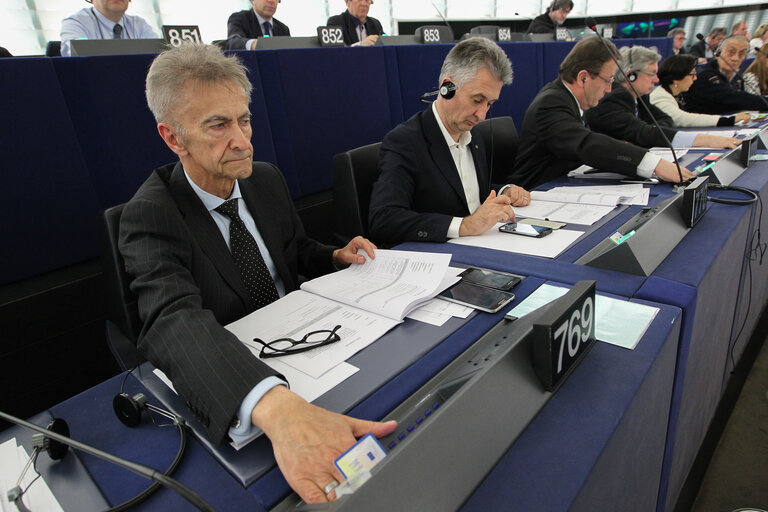 Tadeusz Edward ROSS during the plenary session