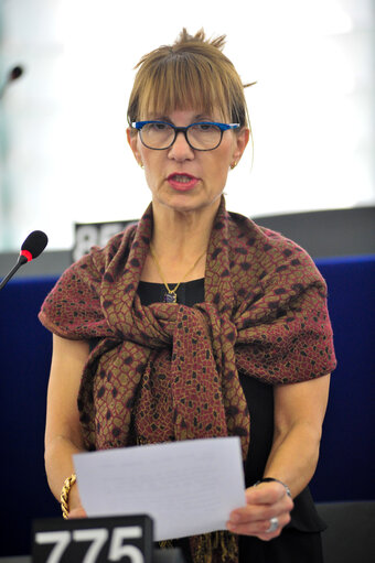 Plenary session week 09 2014 in Strasbourg - Consequences of adverse weather conditions in various Member States  Commission statement