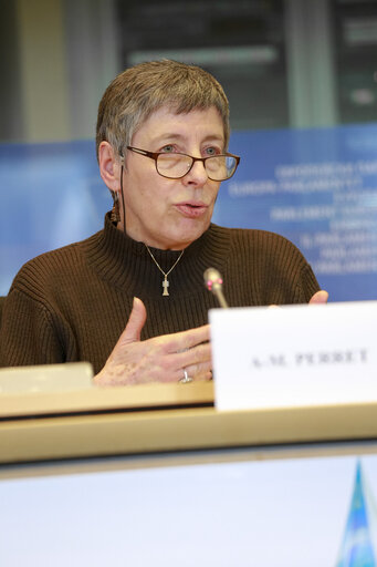 Zdjęcie 8: ENVI DEVE IMCO PETI -  Hearing on the European  Citizens' Initiative   Right2Water