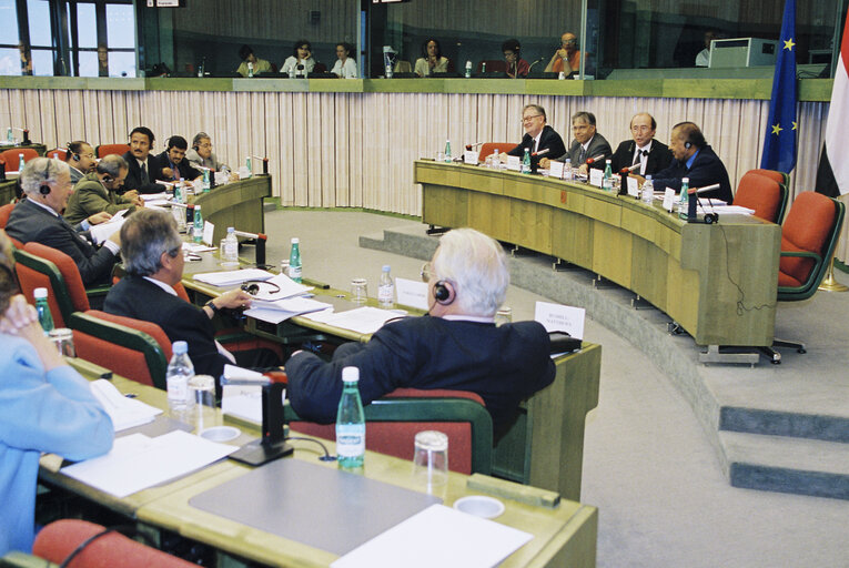 The MEP Michel J.M. DARY and Ahmed AL-HADDAD, head of the Mission of Yeman to the EU during a meetng in Strasbourg in July 2001.