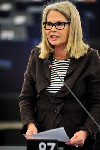 Plenary session week 09 2014 in Strasbourg - Consequences of adverse weather conditions in various Member States  Commission statement