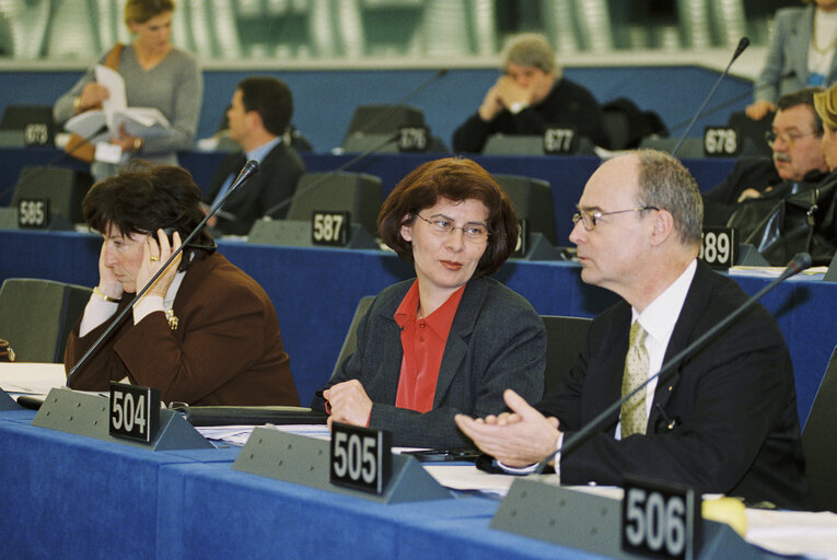 Fotografija 12: MEP Renate SOMMER in plenary session in Strasbourg