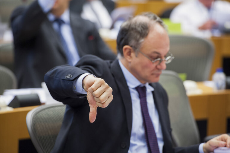 Fotografie 10: Members voting during the AFCO Committee meeting.