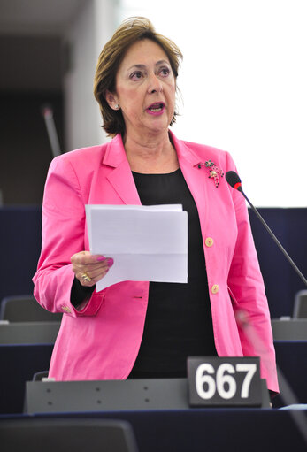 Plenary session week 16 2014 - Posting of workers in the framework of the provision of services