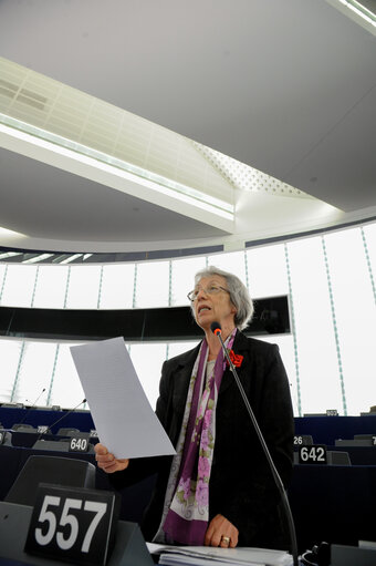 Plenary session week 16 2014 in Strasbourg - Religious freedoms and cultural diversity  Statement by the Vice-President of the Commission/High Representative of the Union for Foreign Affairs and Security Policy