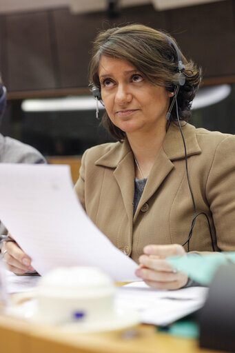 Photo 8: JURI Public hearning  EU Law on successions and the protection of vulnerble adults