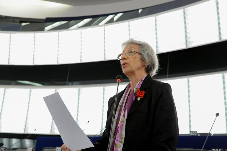 Plenary session week 16 2014 in Strasbourg - Religious freedoms and cultural diversity  Statement by the Vice-President of the Commission/High Representative of the Union for Foreign Affairs and Security Policy