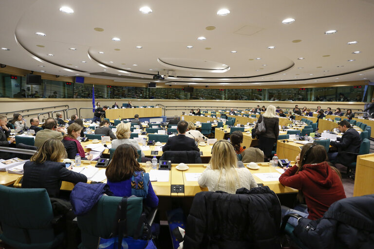 Foto 18: PETI Committee Meeting: Dany Byrne case