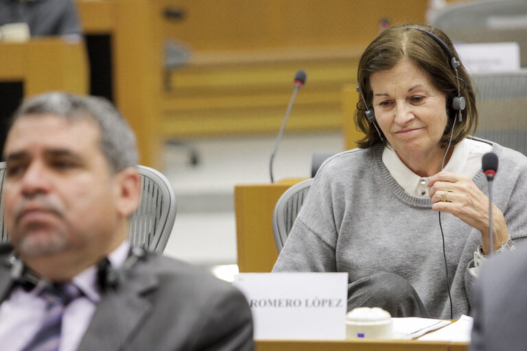 Meeting with members of the Constituent Assembly of Tunisia