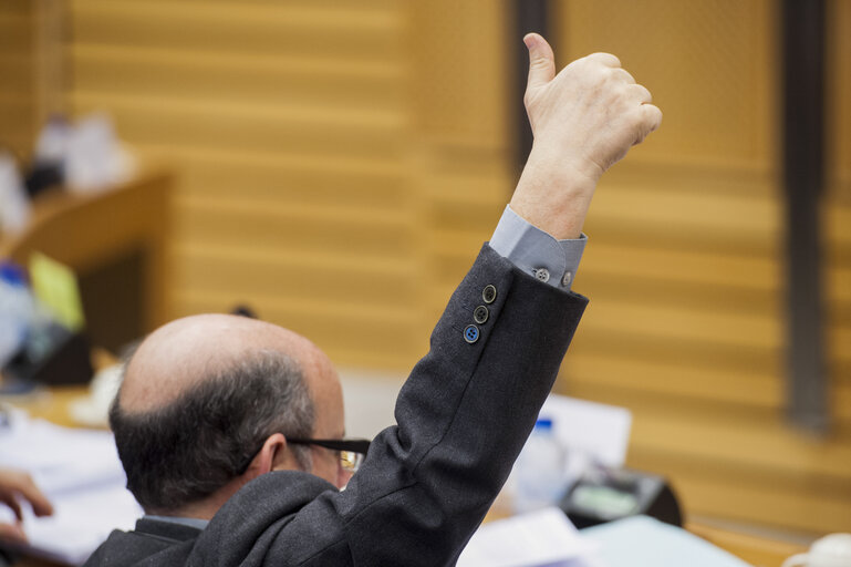 Valokuva 12: Members voting during the AFCO Committee meeting.