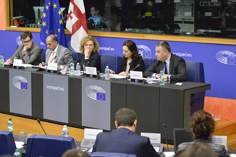 4th EU-Georgia Parliamentary Association Committee (PAC)