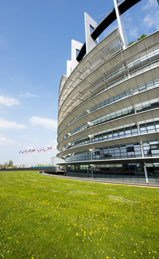 Flags in the European Parliament in Strasbourg