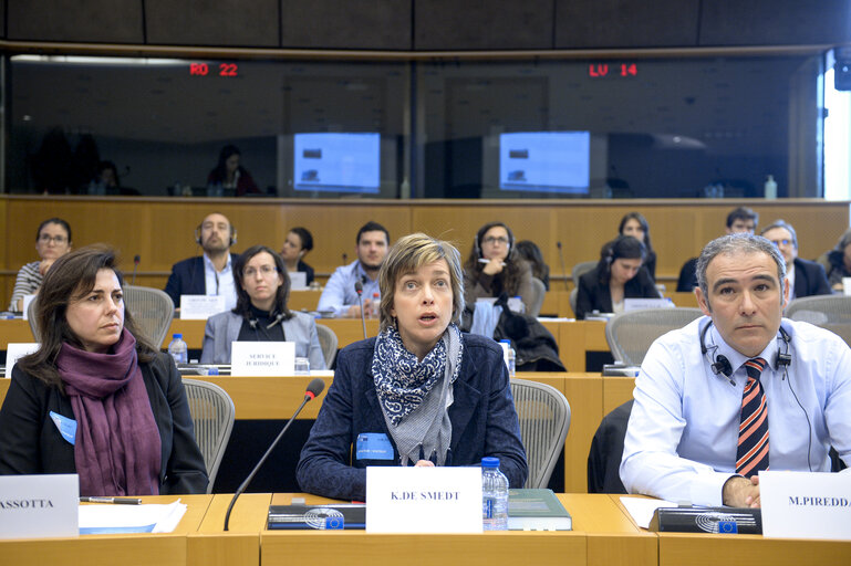 Foto 6: Joint JURI / LIBE Workshop: ' The Implementation of the Environmental Liability Directive '