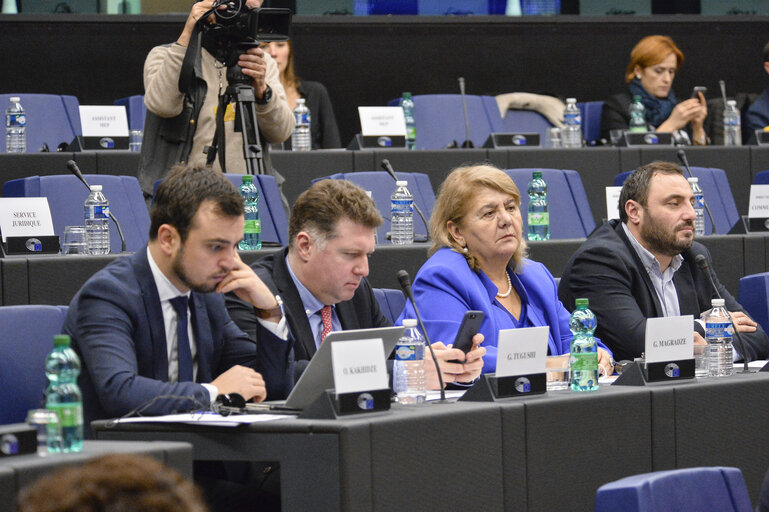 4th EU-Georgia Parliamentary Association Committee (PAC)
