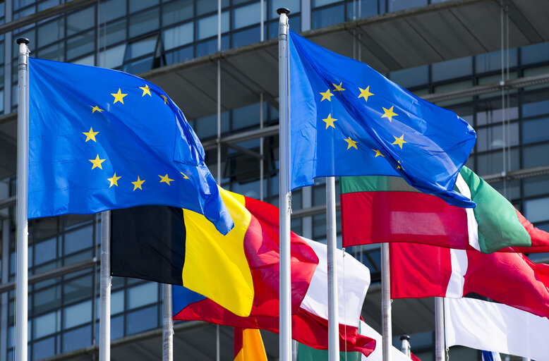 Flags in the European Parliament in Strasbourg