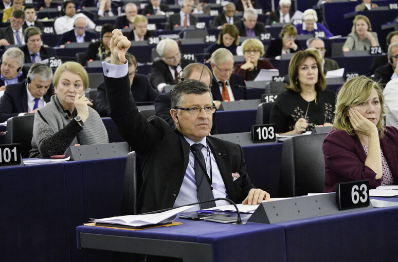 Photo 5: Franck PROUST in plenary session week 7 2017 in Strasbourg