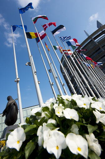 Fotografija 4: Flags in the European Parliament in Strasbourg