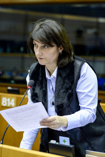 Photo 32: Plenary session in Brussels - Week 05  2017Votes and explanations of votes