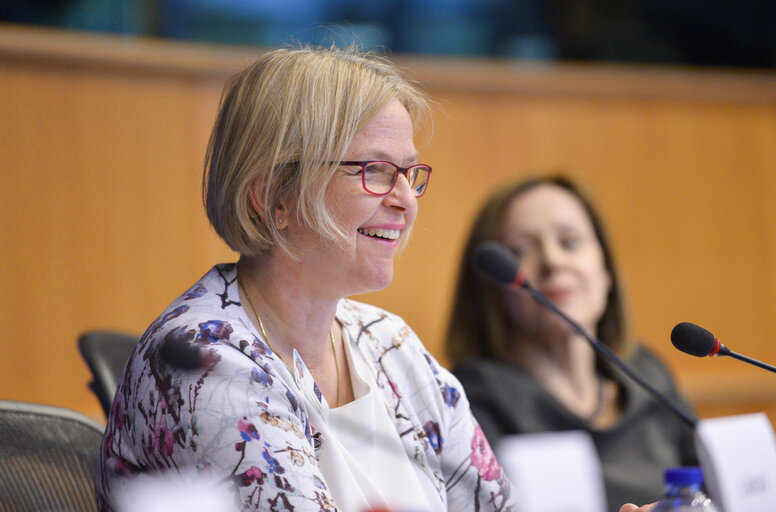 Fotografi 12: Public procurement and Parliament's role