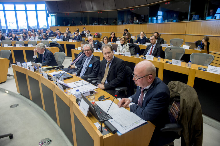 Fotografia 14: IMCO - Public hearing on European Standards for the 21st Century