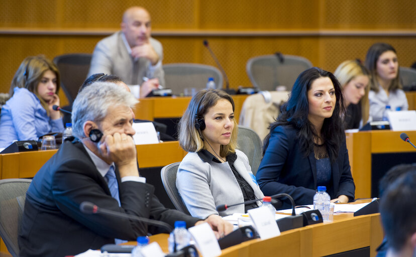 Fotografija 15: Public procurement and Parliament's role