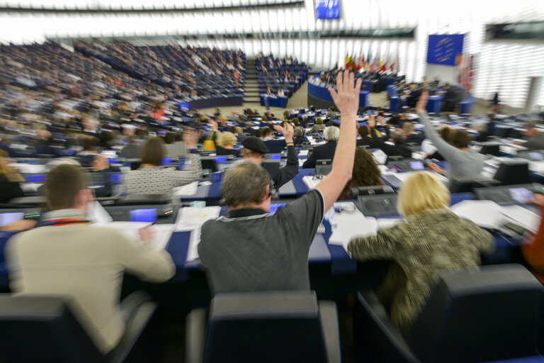 Valokuva 15: Plenary session week 7 2017 in Strasbourg- VOTES followed by explanations of votes