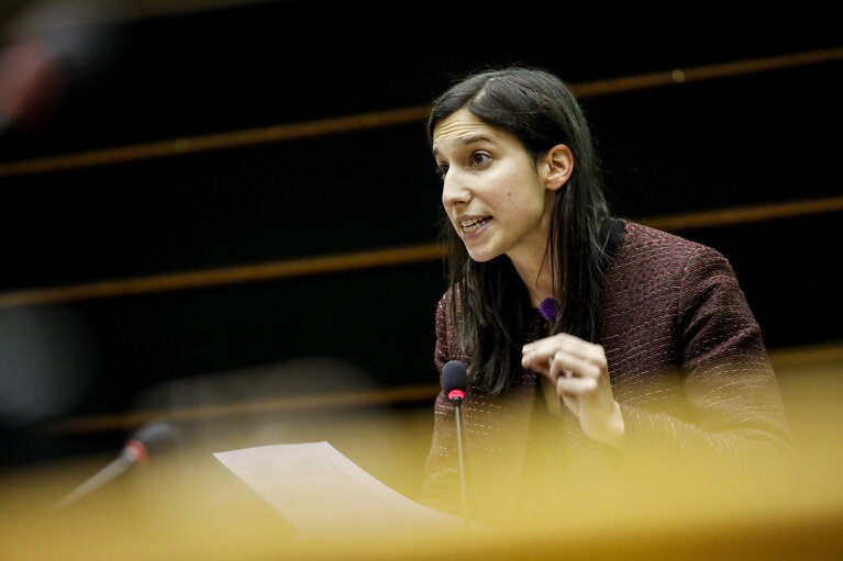 Photo 9: Plenary session Week 05 2017 in Brussels.Managing migration along the Central Mediterranean Route